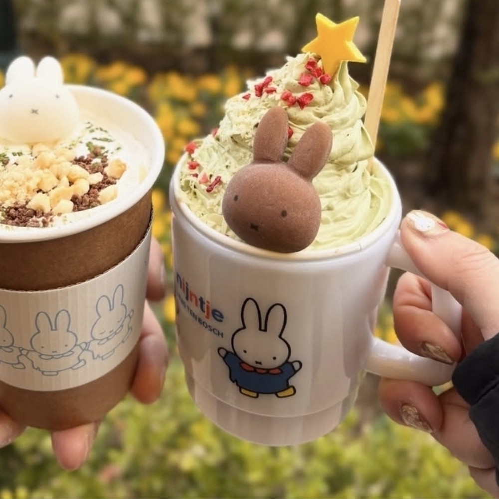 Huis Ten Bosch Souvenir Cup Mug Rare Christmas Holiday, Not for Sale Item